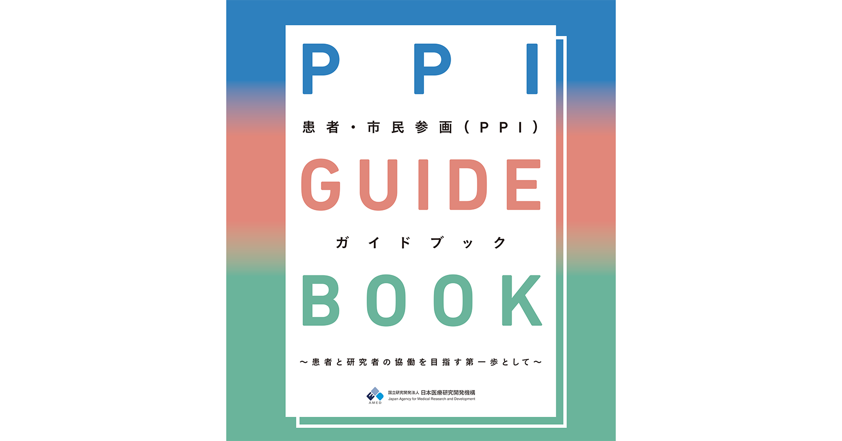Ppi Guidebook