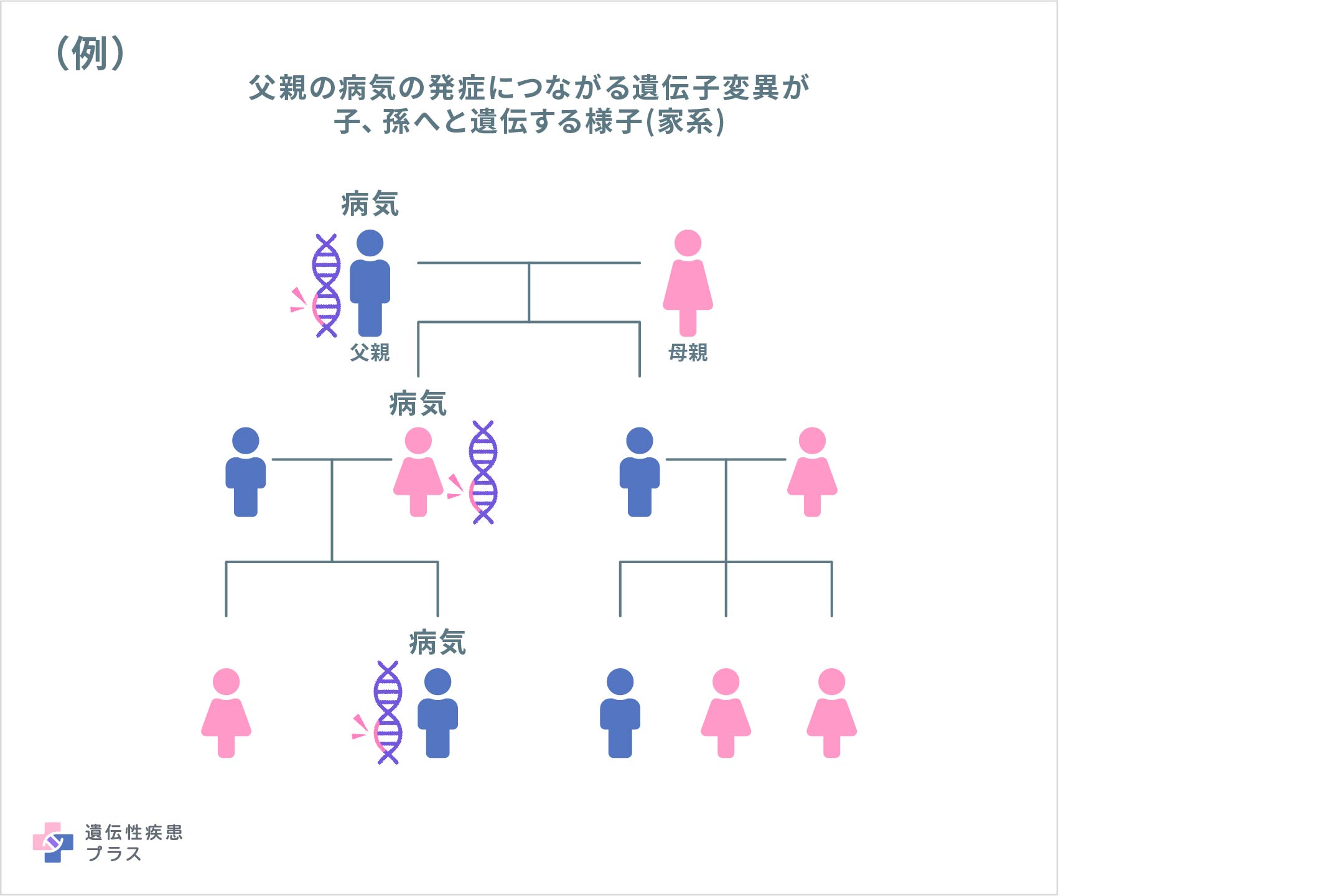 「ある疾患の発症に関連した家系」とはどういう意味ですか？のタイトルイメージ