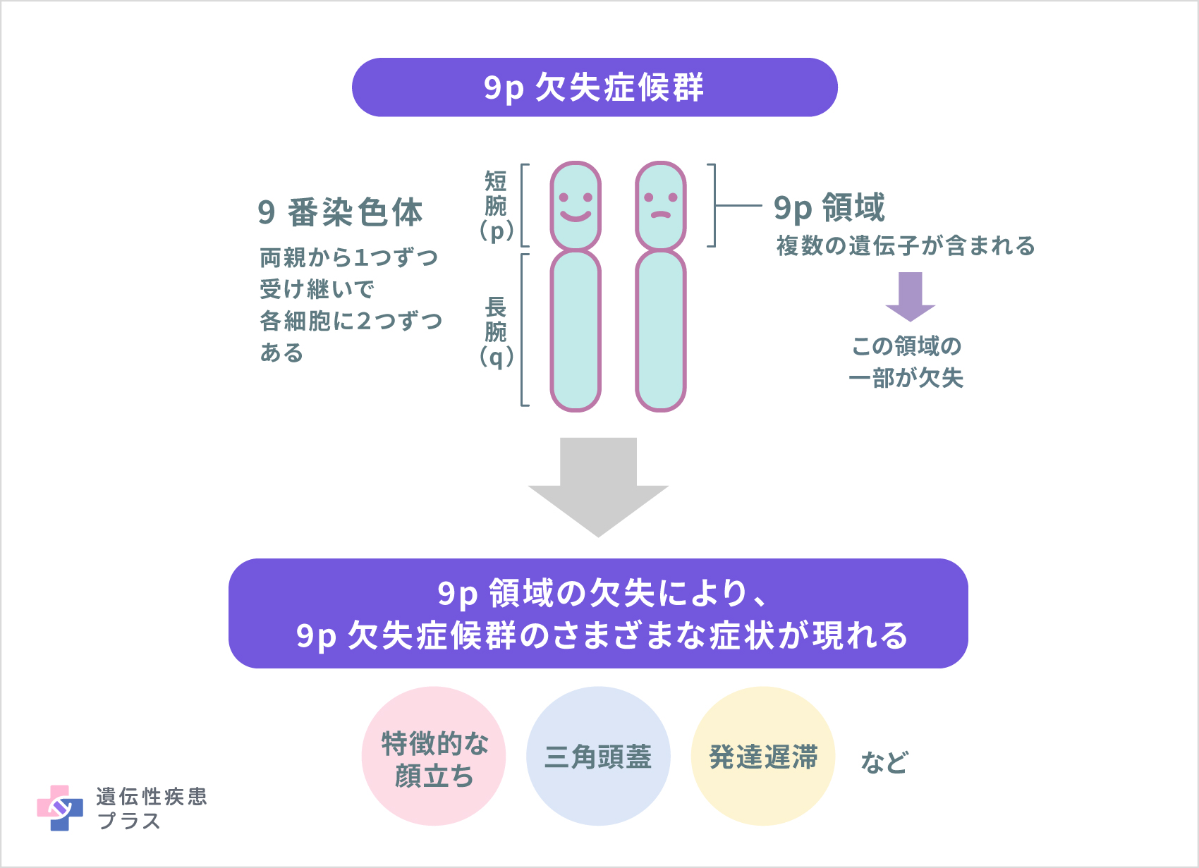 175 9p欠失症候群 仕組み 250410