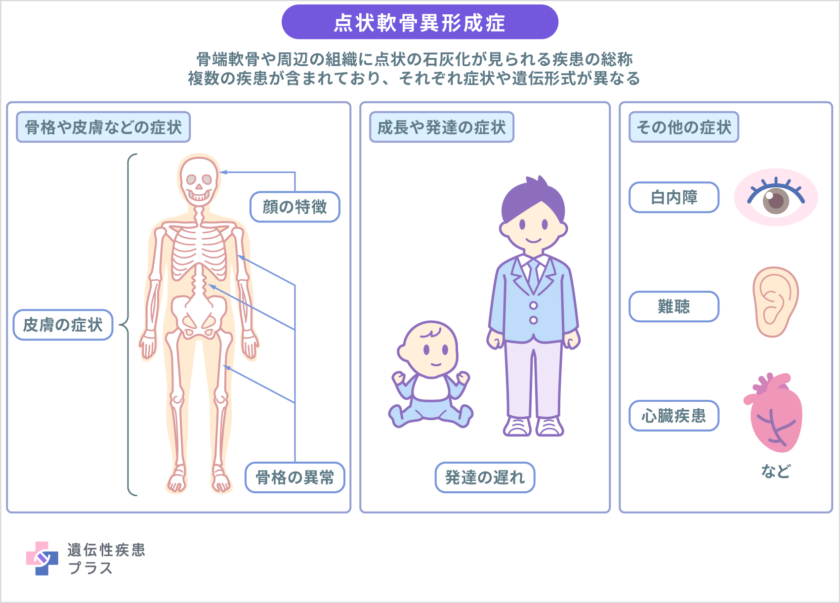 156 点状軟骨異形成症 仕組み