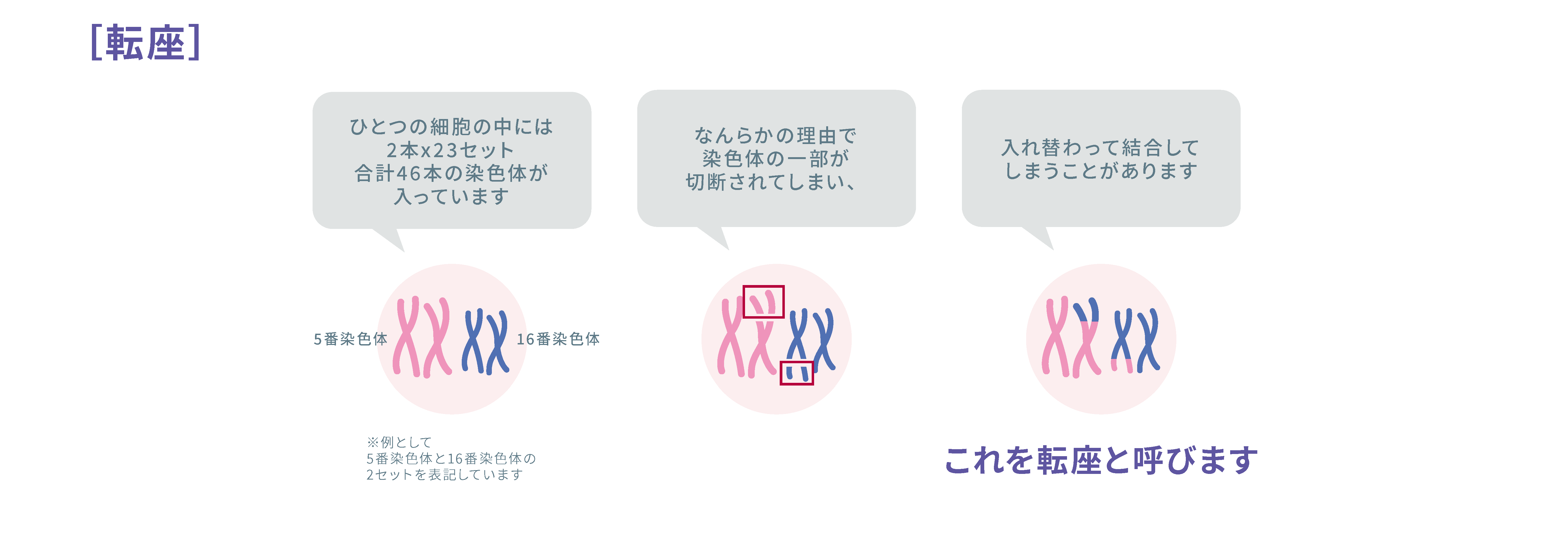 13トリソミー症候群 遺伝性疾患プラス