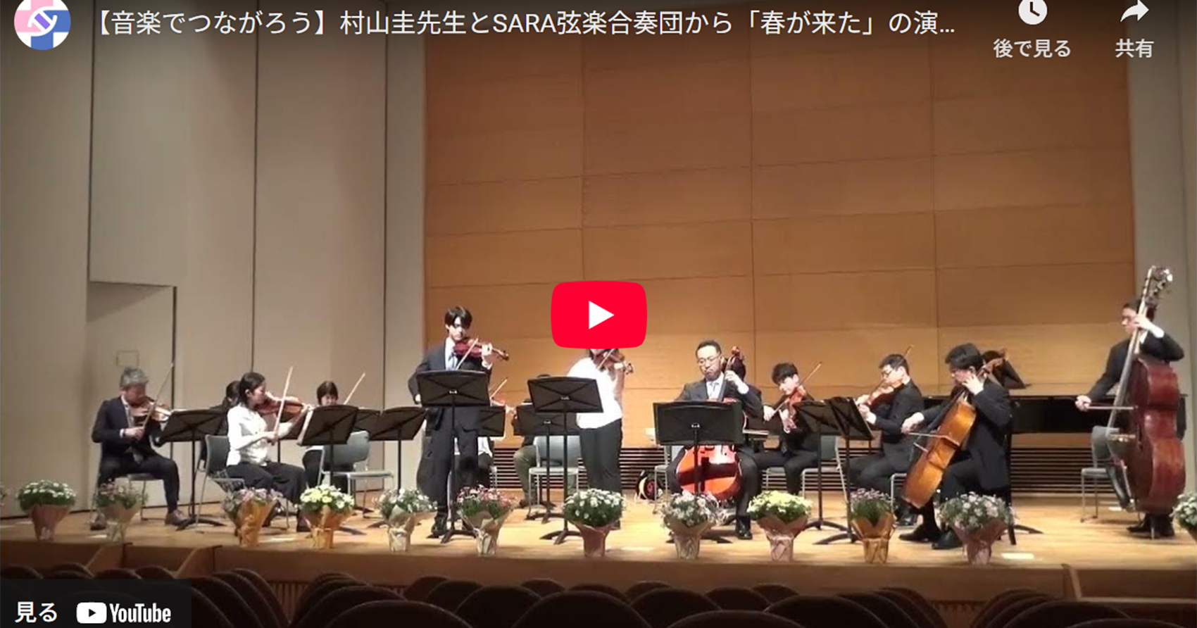 【音楽でつながろう】村山圭先生とSARA弦楽合奏団の皆様から「春が来た」の演奏を送っていただきました！のタイトルイメージ